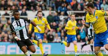 Graham Potter delivers verdict on Allan Saint-Maximin, Callum Wilson and Newcastle's 'threats' - Sussex Live