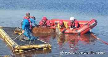 Heroic firefighters rescue cow trapped in mud on Bodmin Moor - Cornwall Live