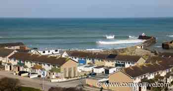 Beachgoer shocked at gruesome headless deer discovery on Portreath beach - Cornwall Live