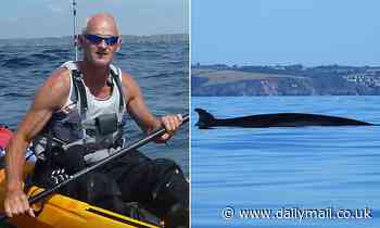 Minke whale filmed by The Lone Kayaker off the coast of Cornwall [VIDEO] - Daily Mail
