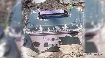 Family pleads for the return of belongings taken from young daughter's grave