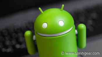 Over 24% Said This Was Their Least Favorite Thing About Android Phones