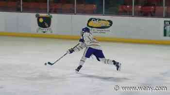 Elmira College women's hockey alumna Sydney Harris signs pro contract - WENY-TV