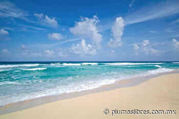 Las mejores playas para visitar en Quintana Roo, México - plumas libres