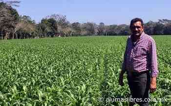 Pasiano llega hoy como alcalde de Jesús Carranza - plumas libres