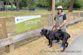 Newton ‘bark park’ move has some dog owners howling about city’s temporary fix at Unwin Park - Surrey Now Leader