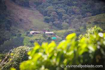 Dos nuevas Áreas Libres de Fauna Silvestre en Cautiverio fueron declaradas en Caicedo, Antioquia - Vivir en El Poblado