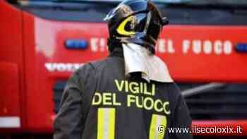 Albenga, il bivacco di un senza tetto prende fuoco: maxi rogo sventato dai Vigili del Fuoco - Il Secolo XIX