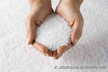 Erba (Como), se il polistirolo rinasce green - Città Future - Quotidiano Nazionale