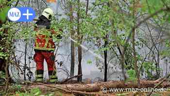 Ludwigsfelde: Rauch von Waldbrand über der Stadt - Feuerwehr im Einsatz - Märkische Allgemeine Zeitung