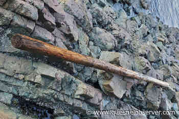 Man rolls log into water to capsize kayaker in Nanaimo - Quesnel - Cariboo Observer