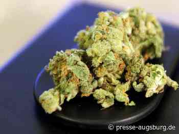 Deutschland hat 57 Tonnen Cannabis importiert | Presse Augsburg - Presse Augsburg