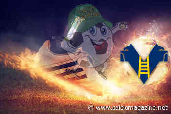 Verona, fantacalcio 2022/2023: guida ai giocatori da comprare - Calciomagazine