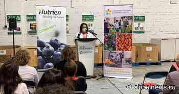 Saskatoon Food Bank and Learning Centre receives $2.5M donation - Global News