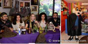 Complacerán Víactiva y Trolebús Turístico de Hermosillo a fans de Harry Potter - Radar Sonora