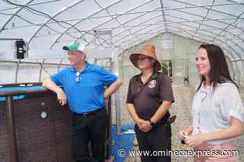 B.C. premier pitches plan for less gas from cattle - Omineca Express