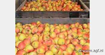 Spanje: Oogstraming appel -23% en peer -17% - AGF.nl