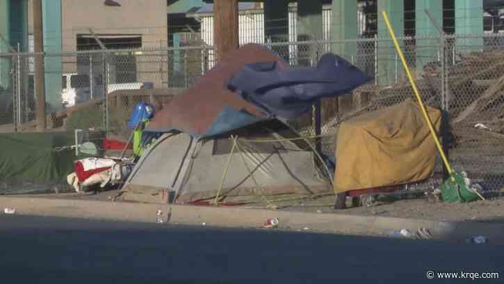 City councilor to propose shifting funding from sanctioned homeless camps