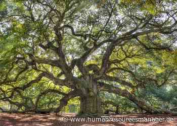 7 Gedanken zu Age Management - Human Resources Manager