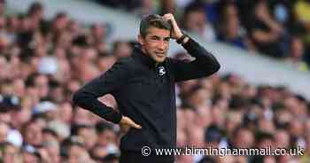 'Worried' - Chris Sutton disagrees with Paul Merson in Wolves vs Fulham prediction - Birmingham Live