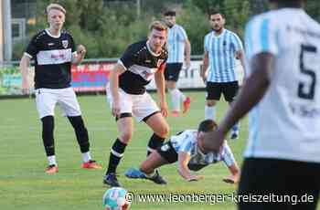 Bannasch-Cup in Renningen - Schwieberdingen holt sich den Pokal - Leonberger Kreiszeitung