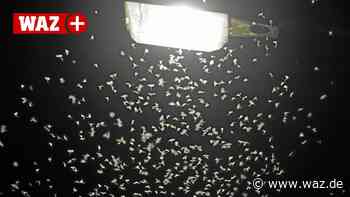 Stadt Witten prüft Abschalten der Straßenbeleuchtung - WAZ News