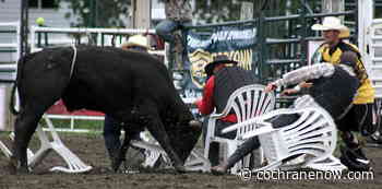 Calgary Police Rodeo is back in Cochrane this Saturday - CochraneNow.com