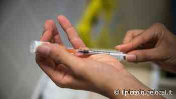 Fvg, vaiolo delle scimmie: 7 casi tra Gorizia e Trieste - Il Piccolo