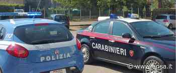 Ferragosto: Prefettura, rafforzati controlli a Trieste - Agenzia ANSA