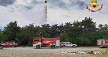 Incendio tra Basovizza e Draga Sant'Elia, VV.F. sul posto - Trieste News