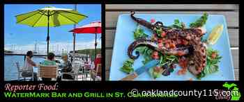 Reporter Food: WaterMark Bar and Grill in St. Clair Shores - Oakland County Times