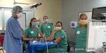 Rural medical students receive hands-on training at Gundersen Health System - WEAU