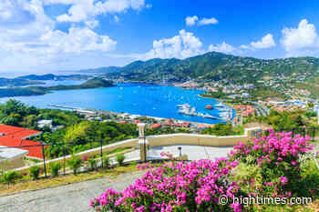 Draft Rules Published for U.S. Virgin Islands Medical Cannabis Program - High Times