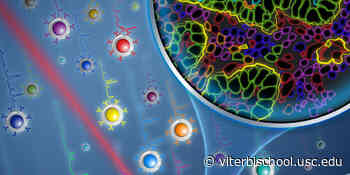 Medical Imaging in Living Color - With 26 New Shades to Detect Disease - USC Viterbi | School of Engineering - USC Viterbi School of Engineering