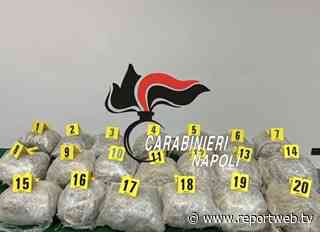 Giamaica dei Monti Lattari tra Castellammare, Gragnano e Pimonte - Arrestato il co-fondatore del clan camorristico Afeltra-Di Martino - Reportweb