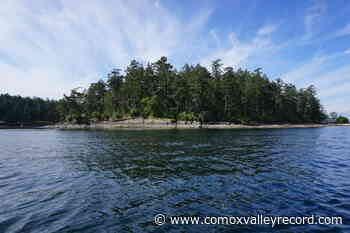 You can own your own private B.C. island for $2.9M - Comox Valley Record