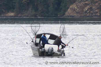 Alberni’s Somass River sockeye return doubles its original forecast - Comox Valley Record