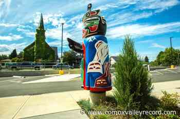 Comox Valley Regional District directors ask for clarity about vice-chair role - Comox Valley Record