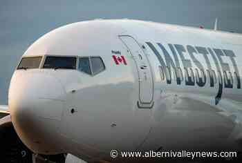 Comox-Puerto Vallarta direct flight return to Vancouver Island later this year - Port Alberni Valley News - Alberni Valley News