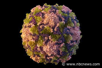 Polio detected in New York City wastewater