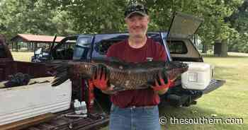 Outdoors | IDNR offers reward for invasive black carp, dead or alive - The Southern