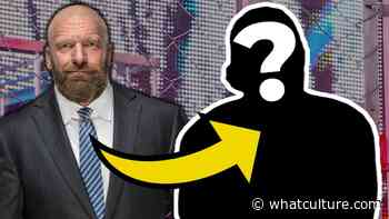Confirmed: Triple H Wants Former NXT Champion Back In WWE - WhatCulture