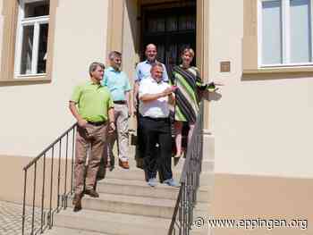 ▷ Eppingen ist ein gelungenes Beispiel der Innenstadtbelebung - Eppingen.org