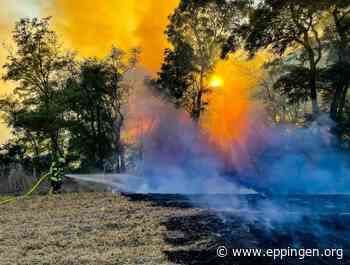 ▷ Flächenbrand zwischen Eppingen und Stebbach - Eppingen.org