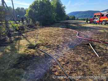 Feldbrand am Knüllfeld - Feuerwehr verhindert Schlimmeres - inSüdthüringen