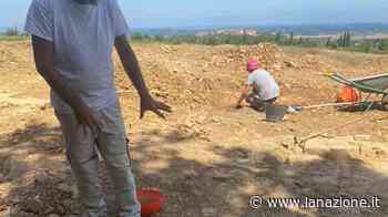 Una villa, terme e fornace emergono a Sant'Antonio - Cronaca - lanazione.it - LA NAZIONE