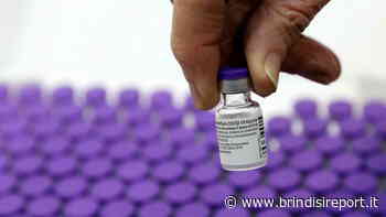 Covid, copertura vaccinale al 90 per cento nel Brindisino: il report Asl - BrindisiReport