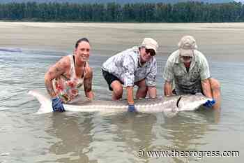 40 fishers set to compete in Saccomaniacs 2022 Sturgeon Fishing Derby - Chilliwack Progress