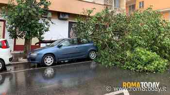 Temporale a Roma: alberi caduti e strade allagate. Chiusa la metro San Giovanni
