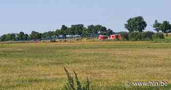 Brandweer rukt uit voor vegetatiebrand in Wuustwezel - Het Laatste Nieuws